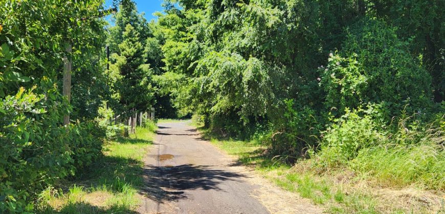 Se Vende Terreno en Pucón