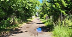 Se Vende Terreno en Pucón