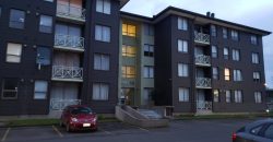 Departamento Edificio Jardin Prado – Block Arrayán. Sector Rodoviario.