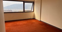 DEPARTAMENTO CENTRO DE TEMUCO